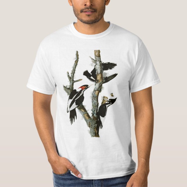 T-shirt Le pivert Ivoire-affiché d'Audubon (Devant)