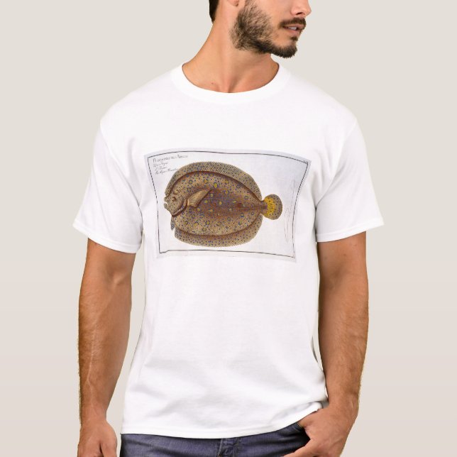 T-shirt Le plat XLVI de flet d'Argus (Pleuronectes Argus) (Devant)