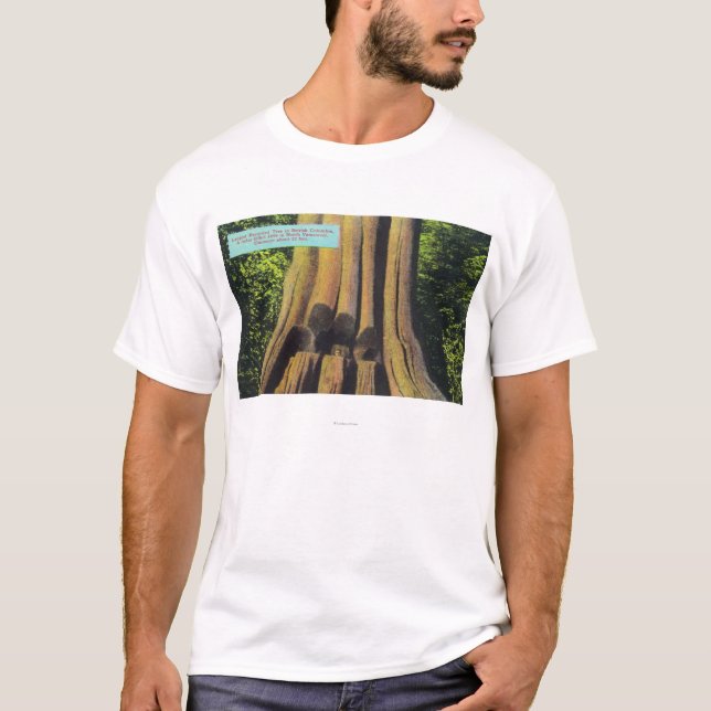 T-shirt Le plus grand arbre enregistré dans l'arbre AVANT (Devant)