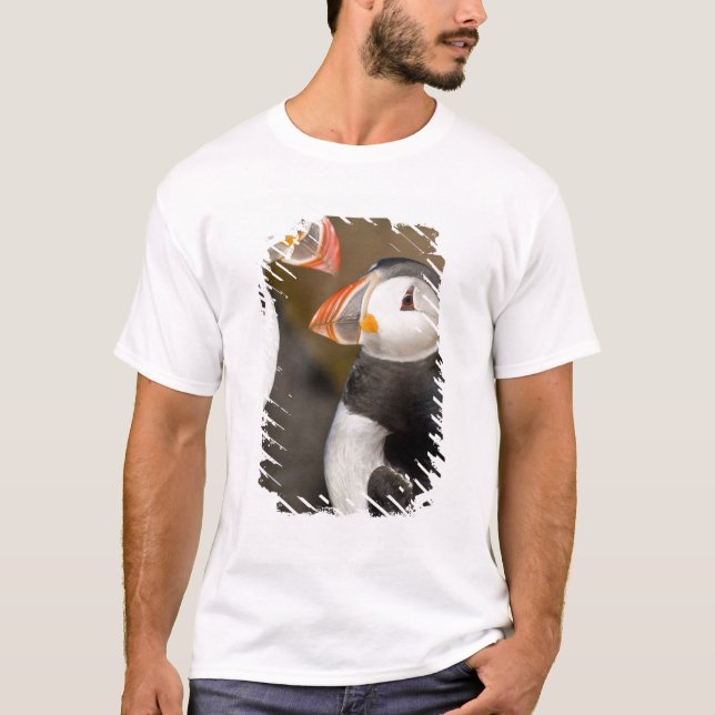T-shirt Le Puffin Atlantique (Devant)