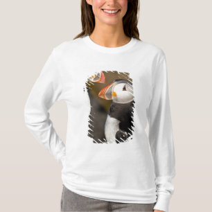 T-shirt Le Puffin Atlantique