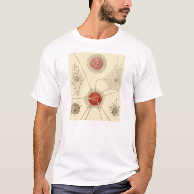 T-shirt Le Radiolarian d'Ernst Haeckel (Devant)