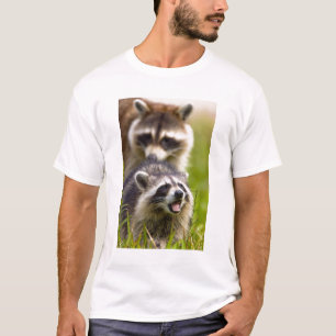 T-shirt Le raton laveur Procyon, est très répandu,