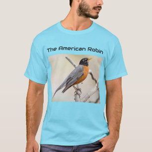 T-shirt Le Robin américain