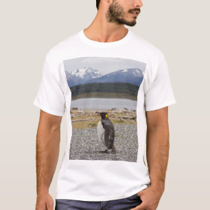 T-shirt Le Roi pingouin, Isla Martillo, Terre de Feu
