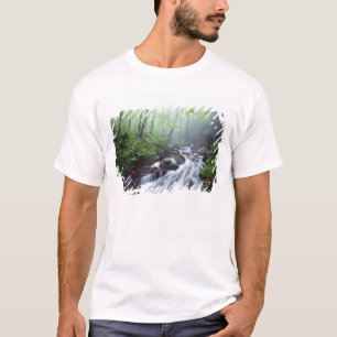 T-shirt Le ruisseau Linn Cove passe en cascade par le brou