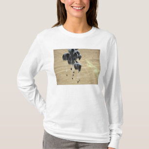 T-shirt Le système de livraison de récipient empaquette 