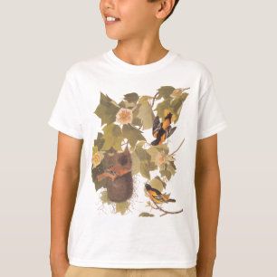 T-shirt Le trio oriental Baltimore d'Audubon