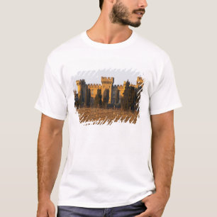 T-shirt Le vignoble avec des vignes de syrah et le château