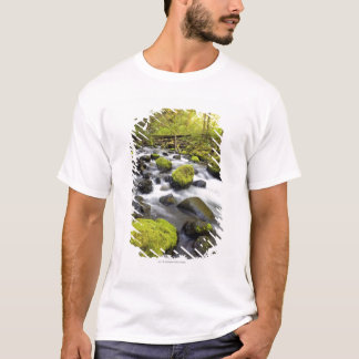 T-shirt L'eau coulant par la mousse a couvert des roches
