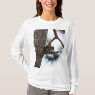 T-shirt L'écureuil dans un arbre à pins