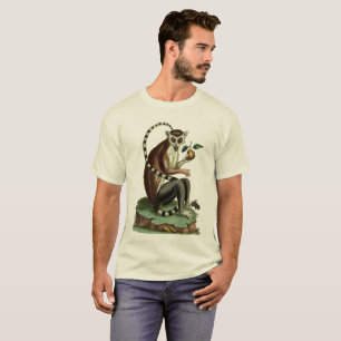 T-shirt Lémur Tee : 1780 Zoologie Illustration