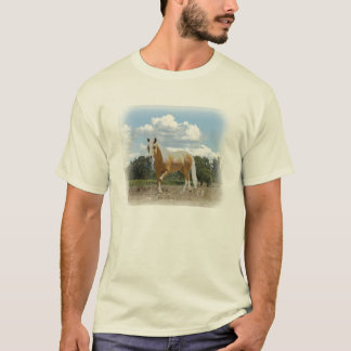 T-shirt LeonardoSkyEarth