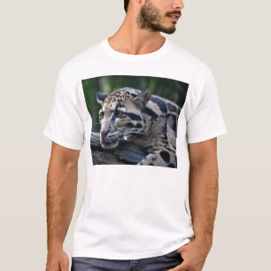 T-shirt Léopard opacifié