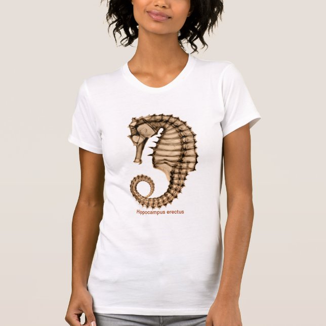 T-shirt L'erectus de hippocampe d'hippocampe de rayon X (Devant)
