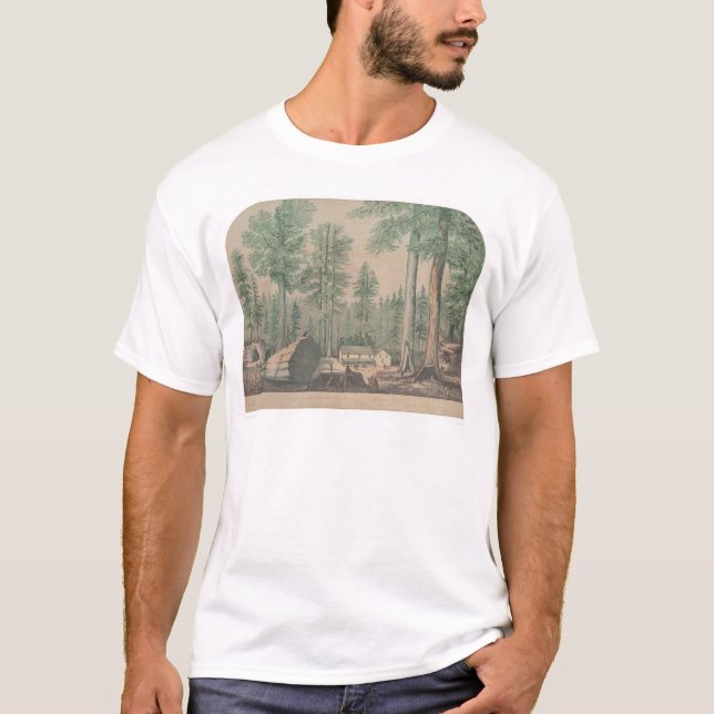 T-shirt Les arbres gigantesques de la Californie (1191) (Devant)