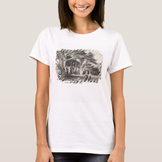 T-shirt Les Cèdres du Liban, gravés par Freeman (sépia (Devant)