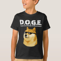 Les Démocrates De Mème Doge Officiellement Exposés