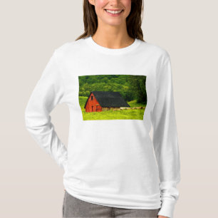 T-shirt Les Etats-Unis, la Virginie, parc national de