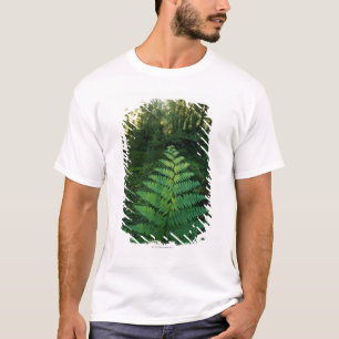 T-shirt Les Etats-Unis, Washington, parc national