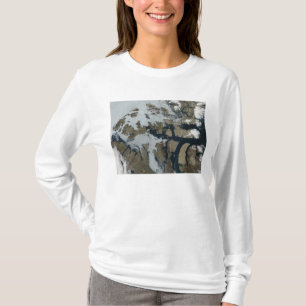T-shirt Les îles de la Reine Elizabeth