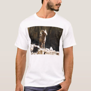 T-shirt Les mouflons d'Amérique enfoncent près des roche