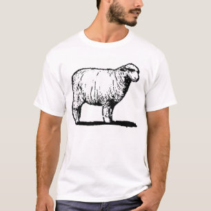 T-shirt Les moutons solitaires