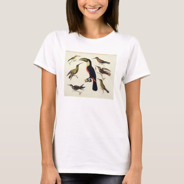 T-shirt Les oiseaux natifs, dont le Toucan (centre), Amazo (Devant)