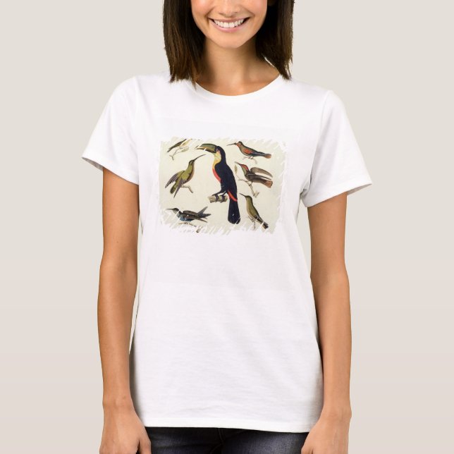 T-shirt Les oiseaux natifs, dont le Toucan (centre), Amazo (Devant)