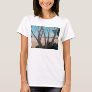T-shirt Les pins s'approchent de Pienza 2012