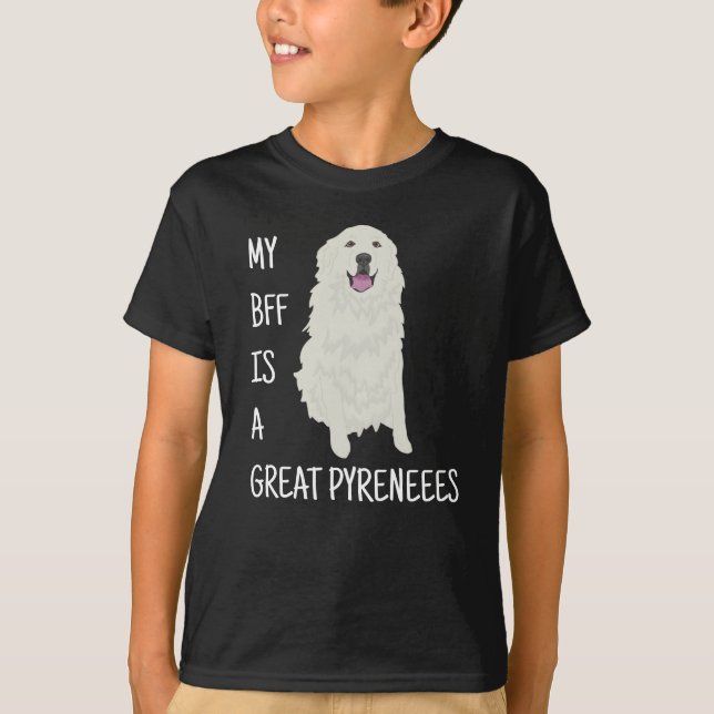 T-shirt Les Pyrénées (Devant)
