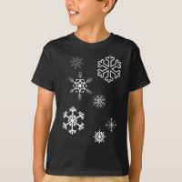 Les Snowflakes L'Hiver Est Là Et La Neige