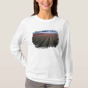 T-shirt Les tulipes roses et rouges brillent sous l'obscur