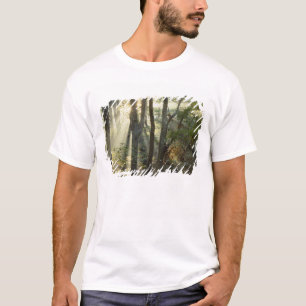 T-shirt Lever de soleil à travers la forêt de chênes et de