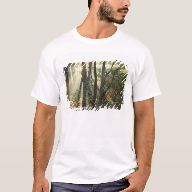 T-shirt Lever de soleil à travers la forêt de chênes et de (Devant)