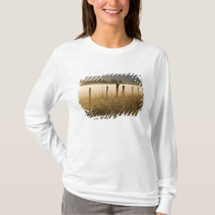 T-shirt Lever de soleil éclairant le brouillard le long d'