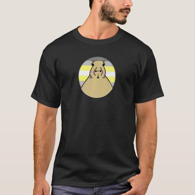 T-shirt Lgbtqia+ Capybara Dans La Pride De Demigender Circ (Devant)
