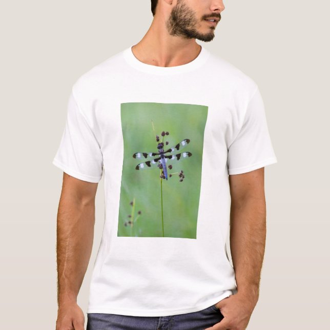 T-shirt Libellule perchée sur l'herbe, Canada (Devant)