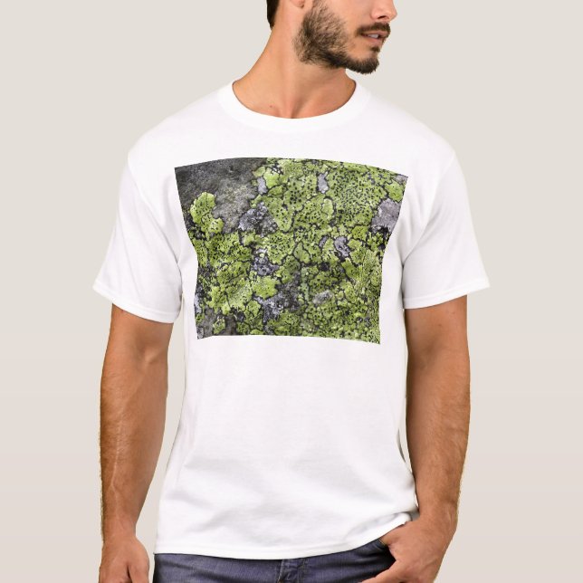 T-shirt Lichen de carte (Devant)