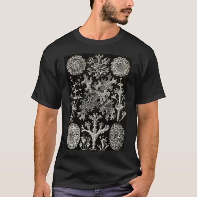 T-shirt Lichenes (Thallophytes - Lichens) - Ernst (Devant)