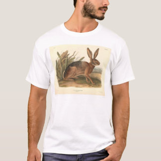 T-shirt Lièvres de la Californie par Audubon (0177A)