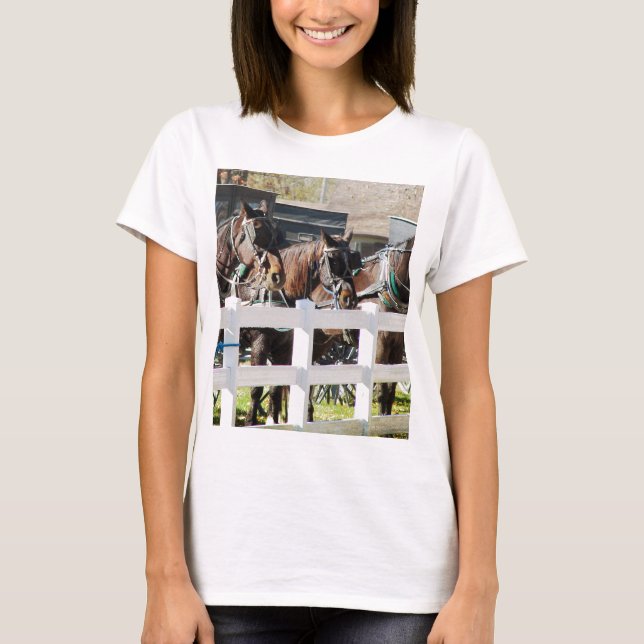 T-shirt Ligne de Chevaux Amish (Devant)