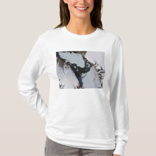 T-shirt L'île de glace