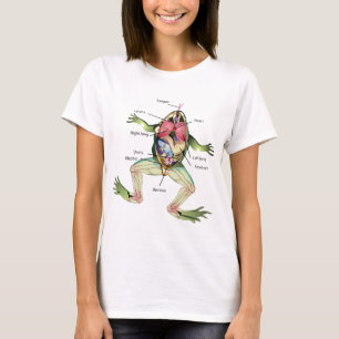 T-shirt L'illustration de graphique de l'anatomie de la