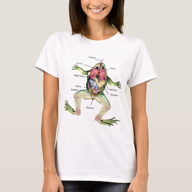 T-shirt L'illustration de graphique de l'anatomie de la (Devant)