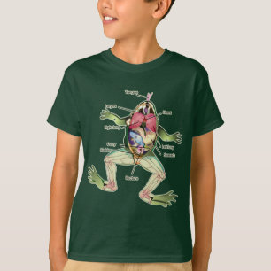 T-shirt L'illustration de l'anatomie de la grenouille