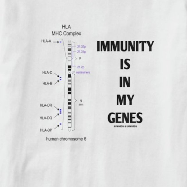 T-shirt L'Immunité Est Dans Mes Gènes (Immunologie Chromos (Major histocompatibility genes are found on Chromosome 6 - a.k.a. Immunity Is In My Genes)