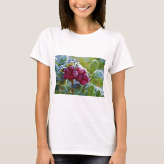 T-shirt Lingonberries congelées