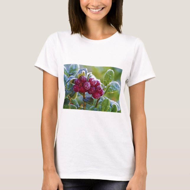 T-shirt Lingonberries congelées (Devant)