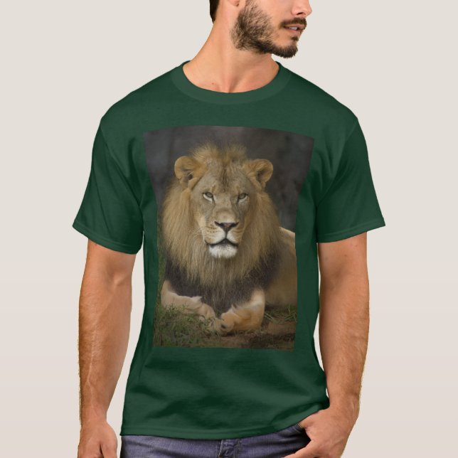T-shirt Lion (Devant)